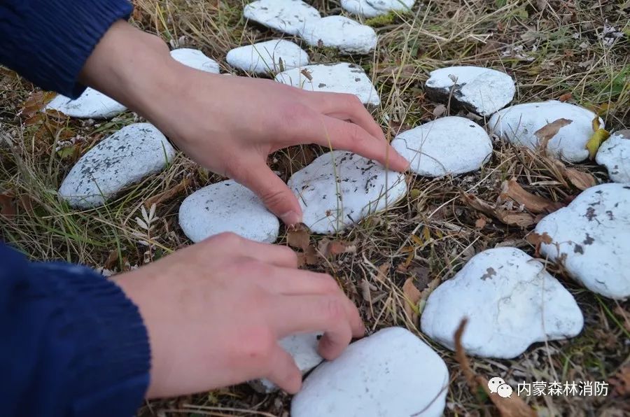 森林消防员主题教育学习心得体会,森林消防队伍如何强化使命责任感