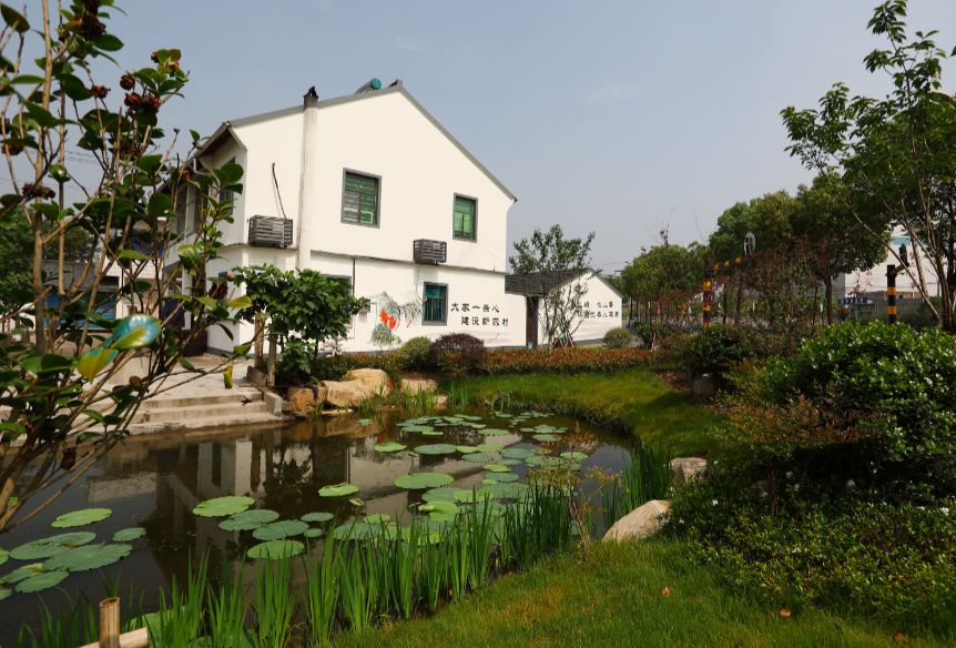 96.13分,全区首个!这个村的萧山人,太幸福