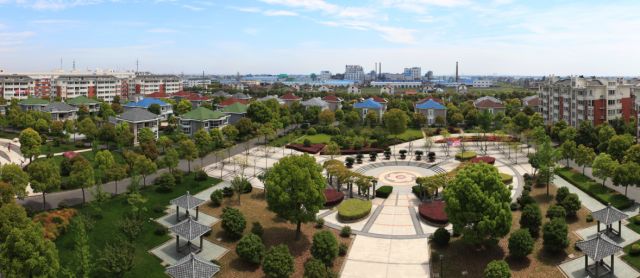 96.13分,全区首个!这个村的萧山人,太幸福