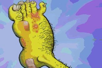 什么袜子踢球不起泡,汗脚穿什么样材质袜子不臭