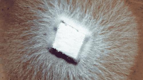 什么袜子踢球不起泡,汗脚穿什么样材质袜子不臭