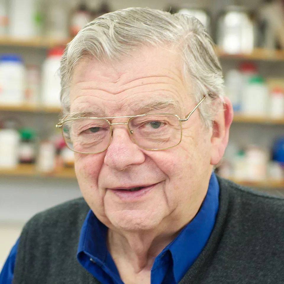 人类进化中男女差异,人类进化的渊源