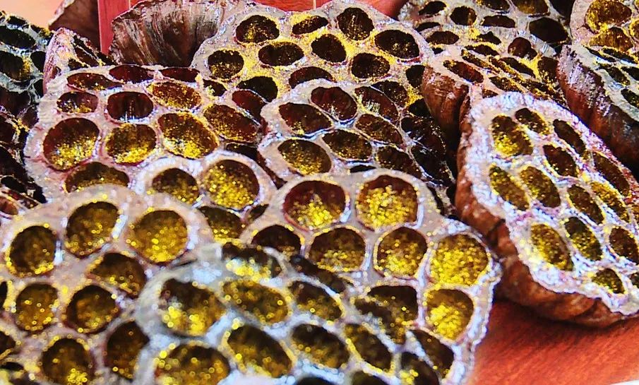 开州竹溪未来5年规划,竹溪中峰镇未来规划