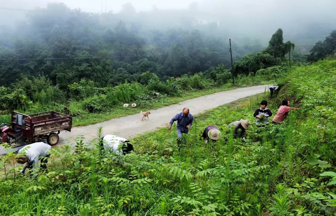 开州竹溪未来5年规划,竹溪中峰镇未来规划