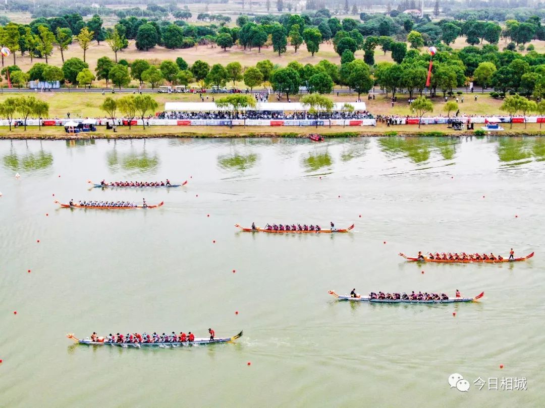 今天，“龙”腾漕湖！