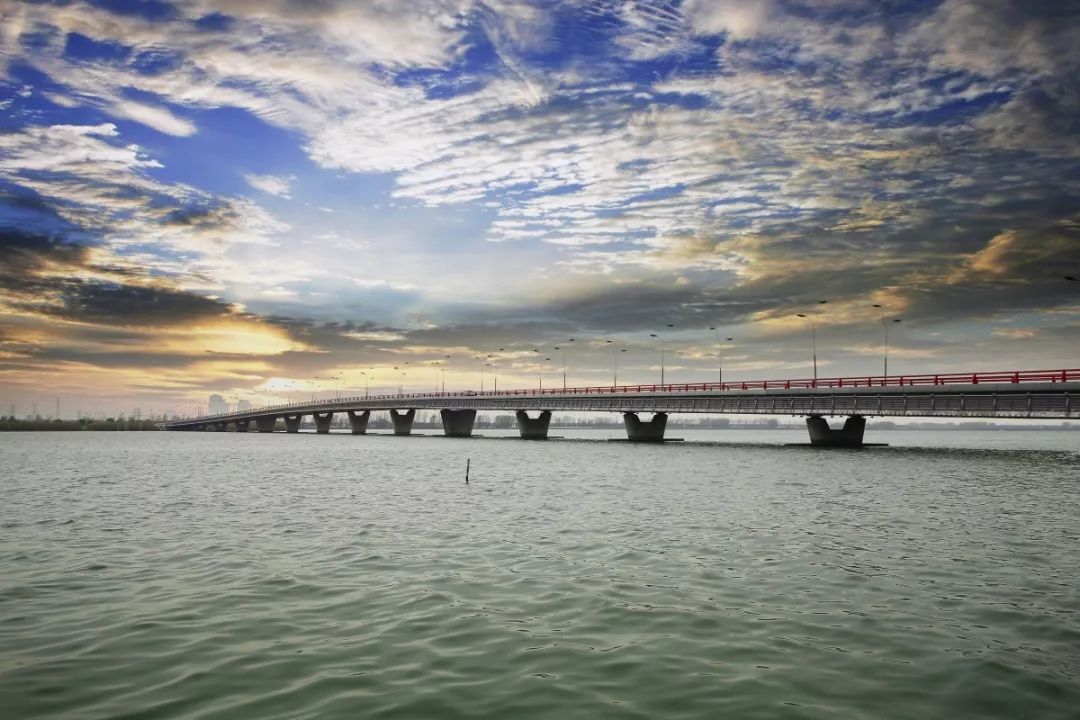 今天，“龙”腾漕湖！