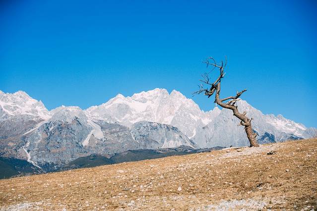 人间仙境美丽丽江,丽江遇见最美的丽江