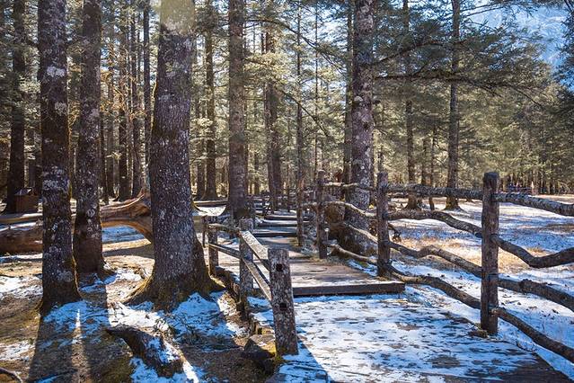 人间仙境美丽丽江,丽江遇见最美的丽江