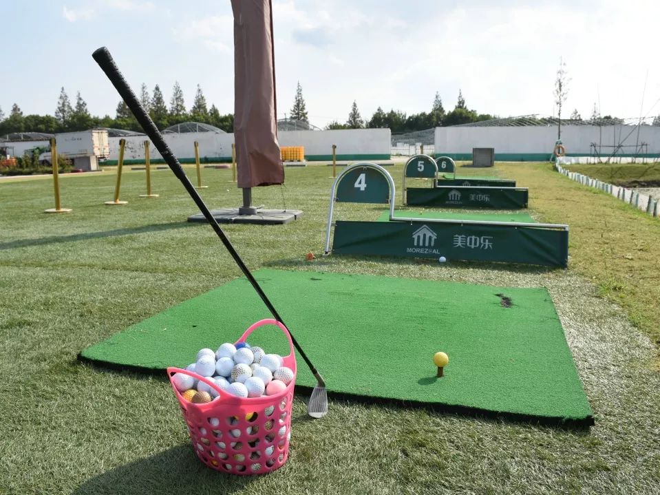 上海闵行区大闸蟹,阳澄湖特大大闸蟹