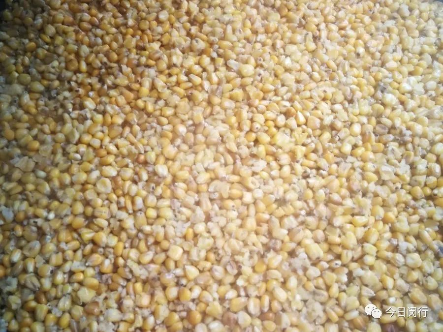 上海闵行区大闸蟹,阳澄湖特大大闸蟹