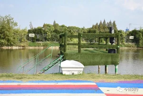 上海闵行区大闸蟹,阳澄湖特大大闸蟹