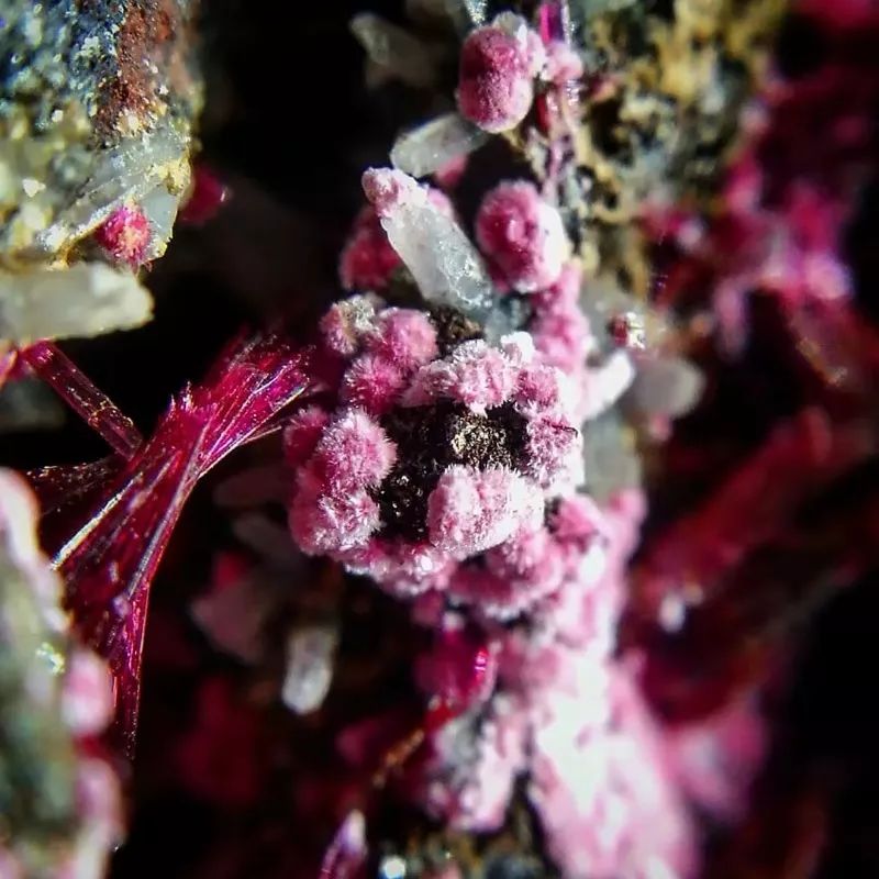 谁还不是个小可爱文案,谁小时候还不是个小可爱