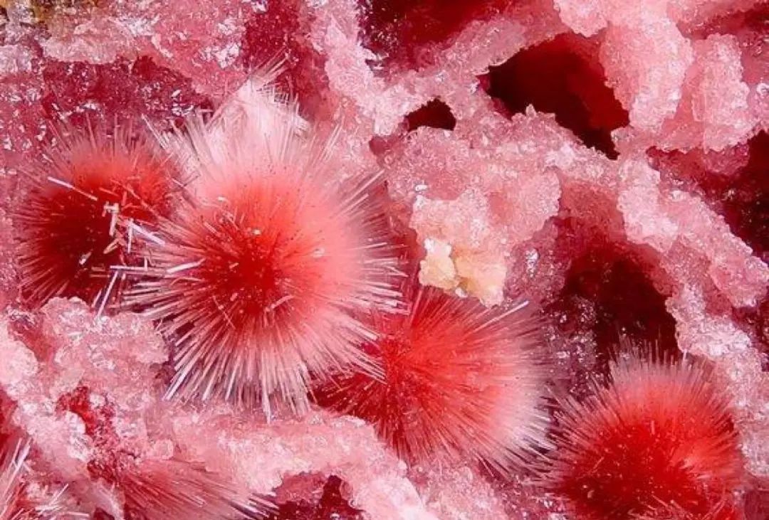 谁还不是个小可爱文案,谁小时候还不是个小可爱