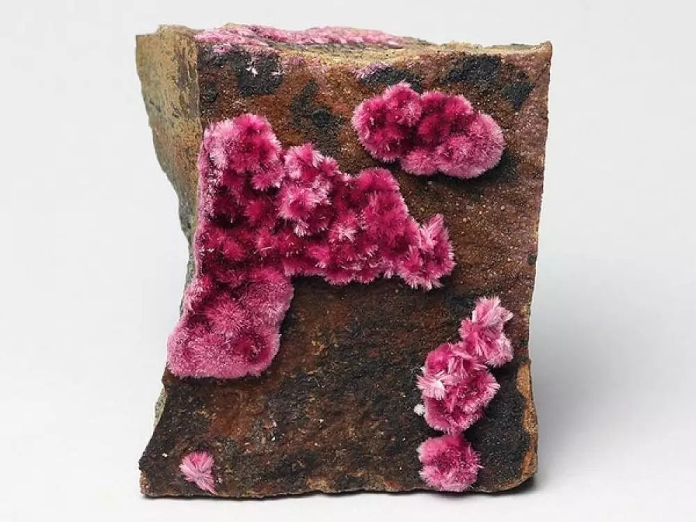 谁还不是个小可爱文案,谁小时候还不是个小可爱