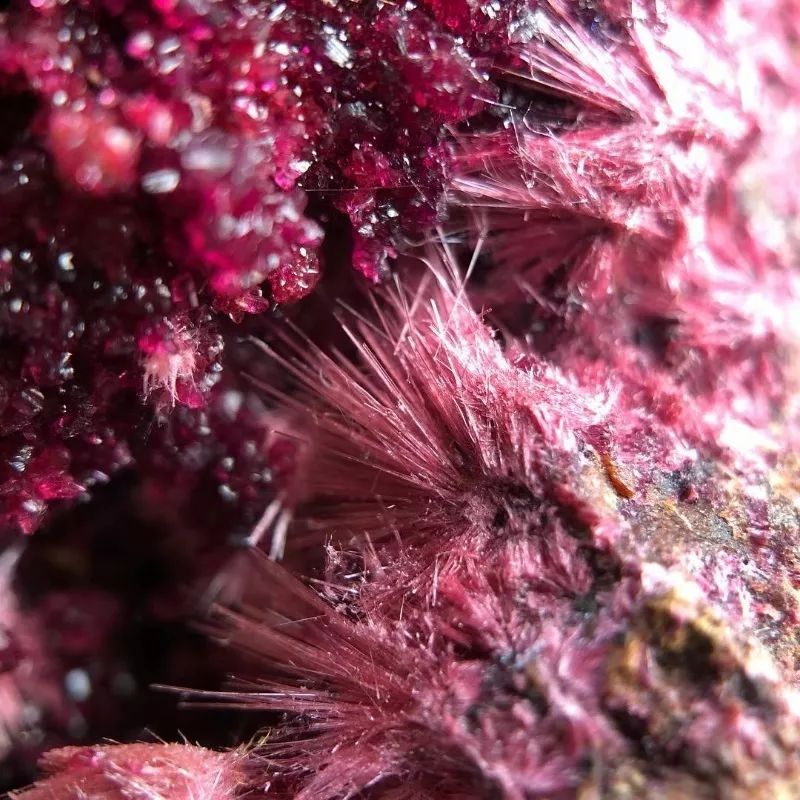 谁还不是个小可爱文案,谁小时候还不是个小可爱