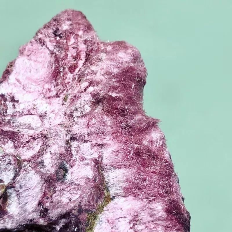 谁还不是个小可爱文案,谁小时候还不是个小可爱