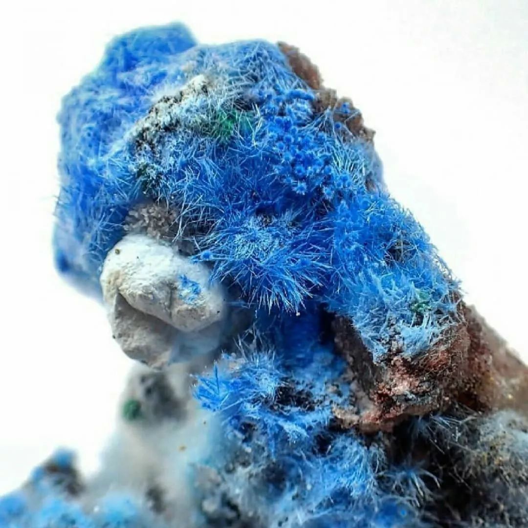 谁还不是个小可爱文案,谁小时候还不是个小可爱