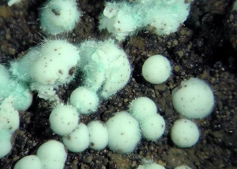 谁还不是个小可爱文案,谁小时候还不是个小可爱