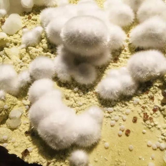 谁还不是个小可爱文案,谁小时候还不是个小可爱