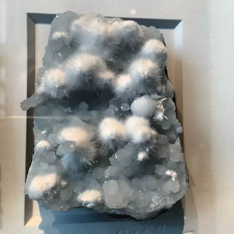 谁还不是个小可爱文案,谁小时候还不是个小可爱