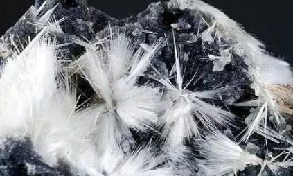 谁还不是个小可爱文案,谁小时候还不是个小可爱