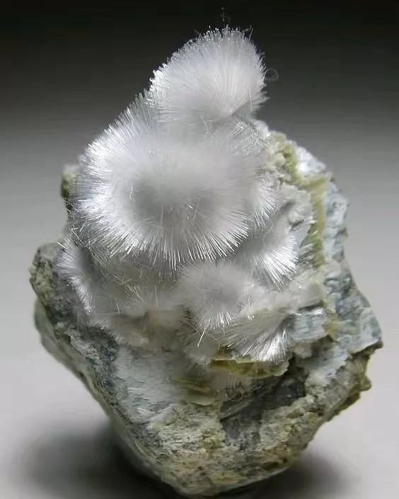 谁还不是个小可爱文案,谁小时候还不是个小可爱