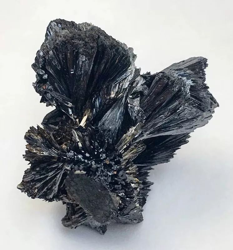 谁还不是个小可爱文案,谁小时候还不是个小可爱