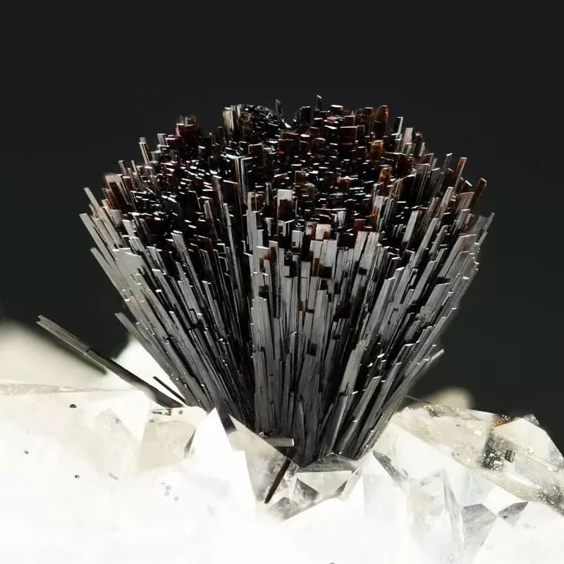 谁还不是个小可爱文案,谁小时候还不是个小可爱