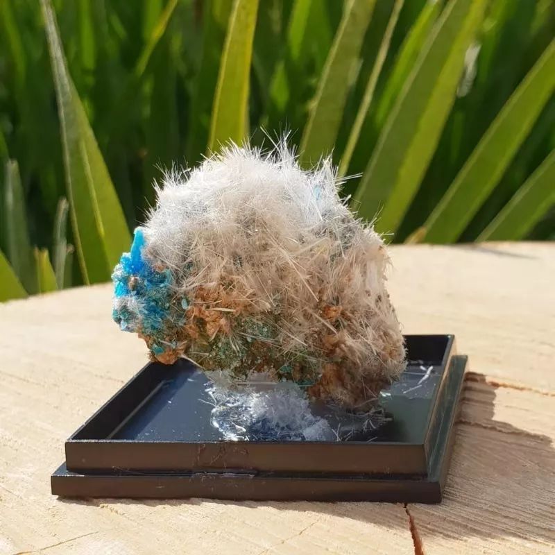 谁还不是个小可爱文案,谁小时候还不是个小可爱