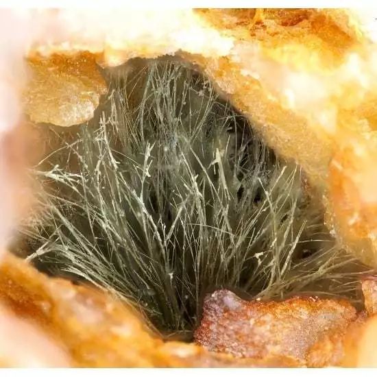 谁还不是个小可爱文案,谁小时候还不是个小可爱