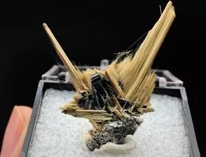 谁还不是个小可爱文案,谁小时候还不是个小可爱