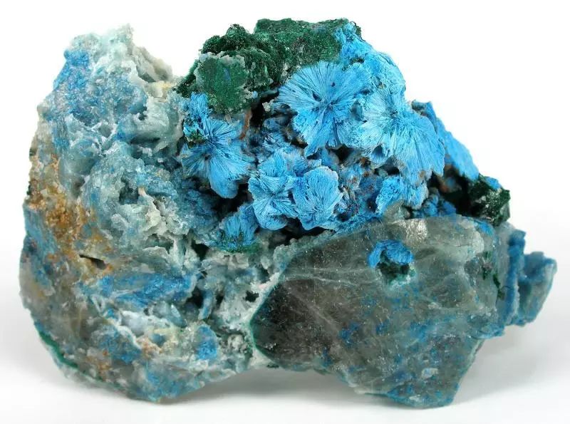 谁还不是个小可爱文案,谁小时候还不是个小可爱