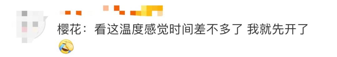 武大樱花近期视频,武大樱花今天有人去了吗