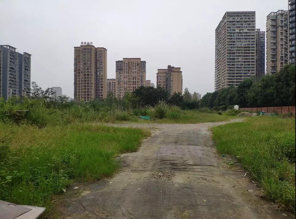 金沙最近怎么样了,金沙是什么来头