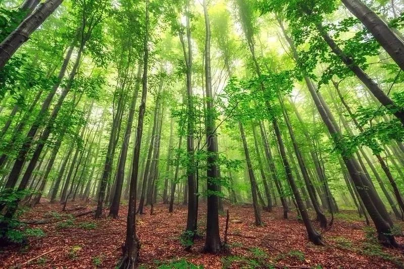 「聚焦」隐藏在CHI（赤）FENG（峰）里的秘密，你发现了吗？