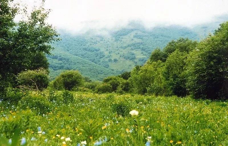 「聚焦」隐藏在CHI（赤）FENG（峰）里的秘密，你发现了吗？