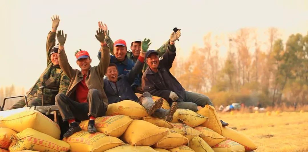 壮丽70年·吉林农信丨为了黑土地的崛起！吉林省农村信用社支持地方经济发展纪实