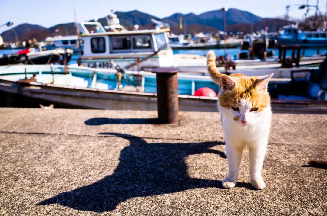 泡全球仅一家的珍珠温泉,上小众景美的雪场滑雪,99%游客都不知道的日本玩法