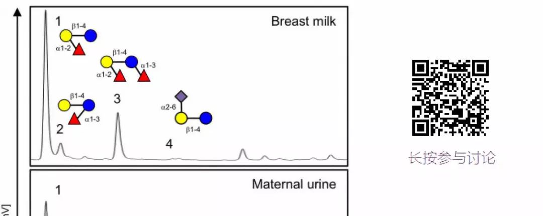 国外大火从2018烧到2019,国外大火2020年