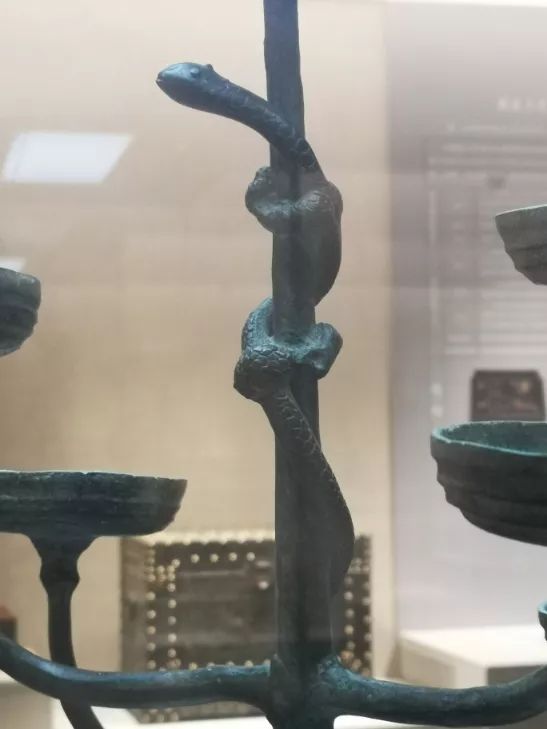 重庆大学建立了一个赝品博物馆,重庆大学赝品博物馆央视