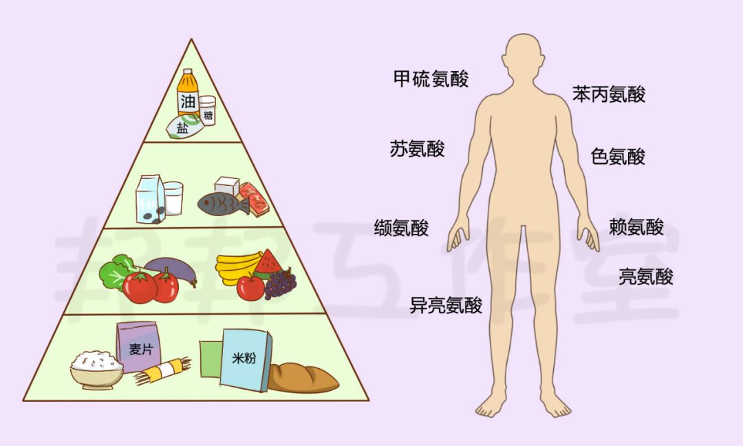 胶原蛋白和美白丸一起吃,胶原蛋白抗糖美白丸