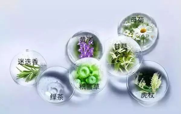 又持久又遮瑕的气垫,平价持妆久不暗沉的气垫