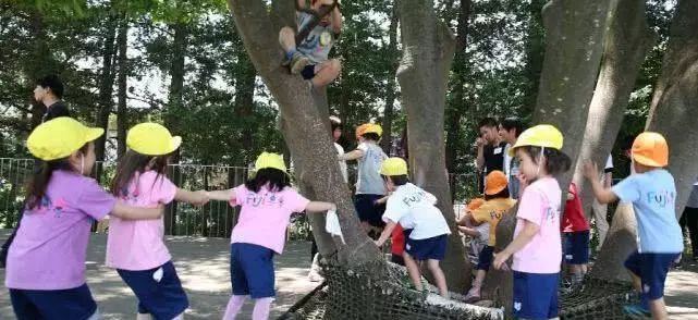 日本诺贝尔奖多少,日本19年诺贝尔奖