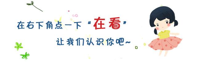 宿城有哪些学校,宿城区学校有哪些