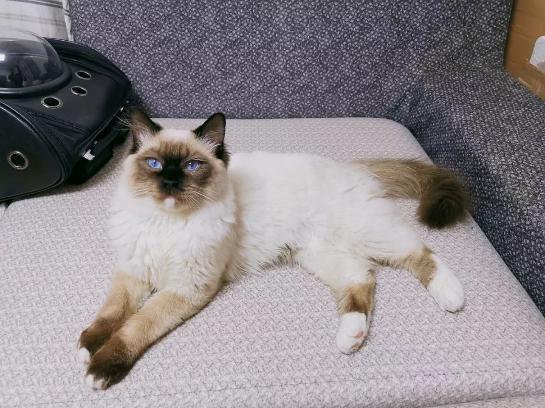 当代年轻人的奇葩消费观局部挥霍,当代年轻人的奇葩消费观完整版