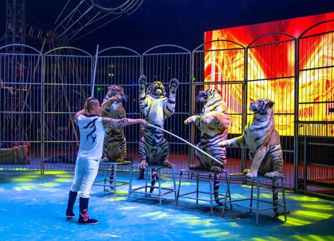 百万豪奖！邀您评出最喜爱的清远市名特优新农产品丨关注