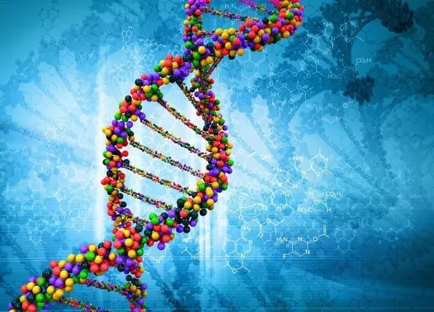 A型血和o型血能结婚生小孩吗,老婆a型和老公b型血能生出o型血吗