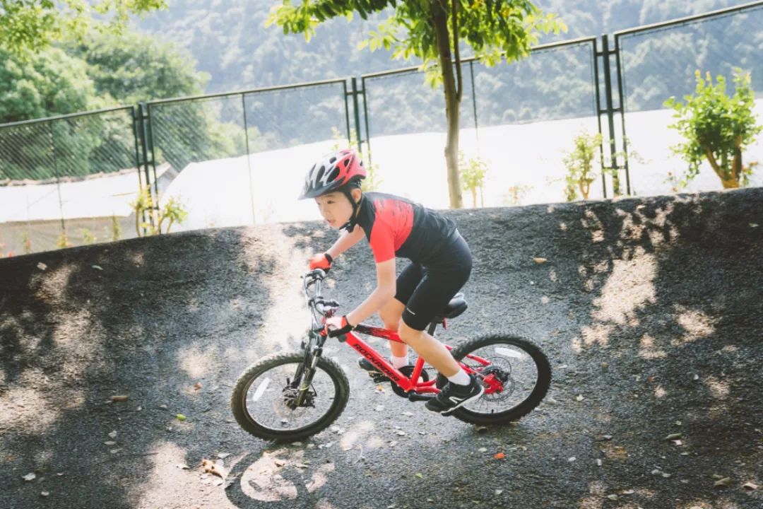 迪卡侬自行车btwin20寸,迪卡侬st900成人山地车测评