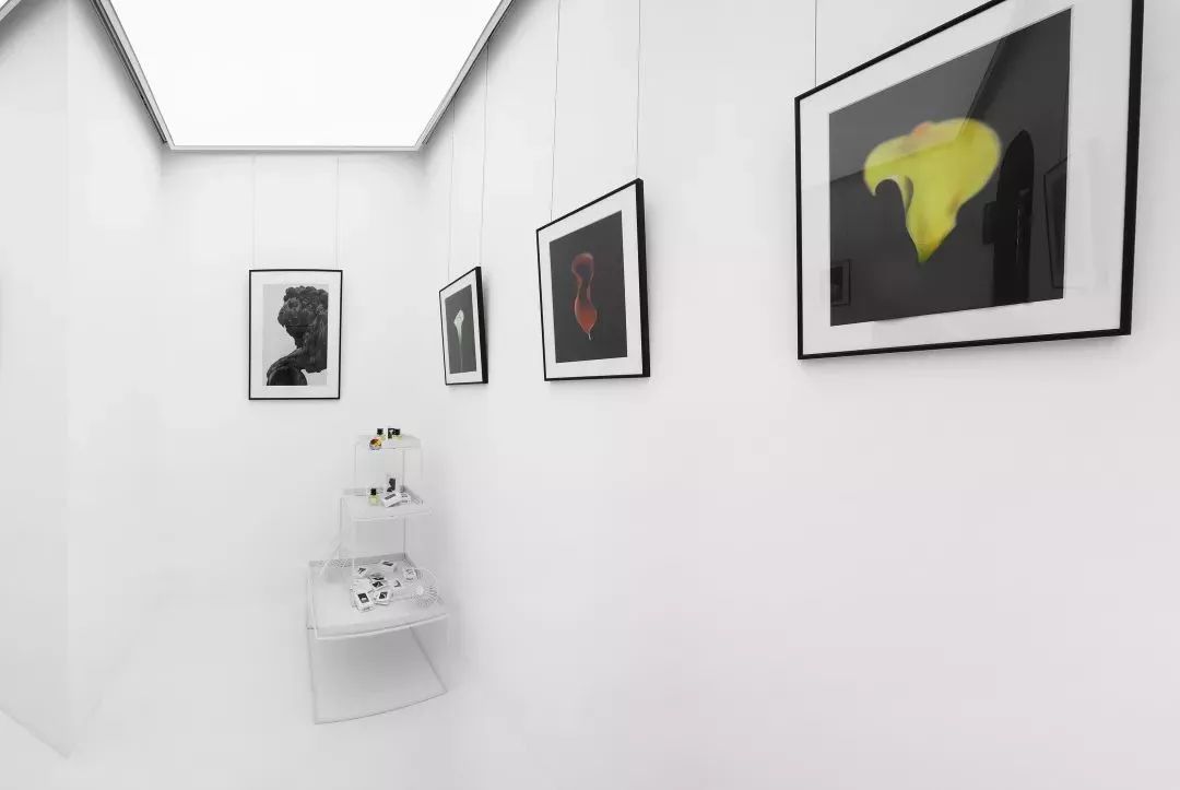 探城记|三里屯今年新开的热门店铺，到底值不值得去？