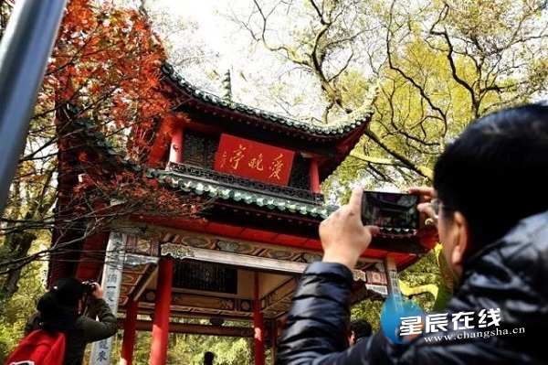 星辰文艺丨王超斌:走过四季,我独爱星城的秋……